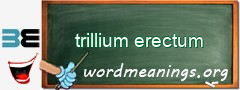 WordMeaning blackboard for trillium erectum